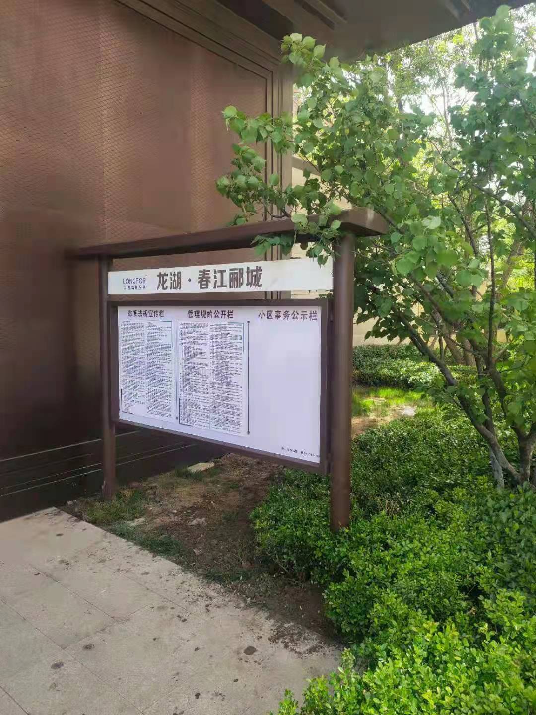 ʶ